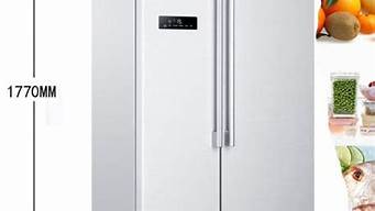 海尔双开门冰箱尺寸一般是多少_海尔双开门