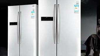 lg双开门冰箱容量_lg双门冰箱温度多少合适