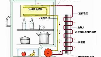 电冰箱的工作原理利用一种_电冰箱的工作原理利用一种材料