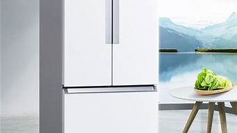 西门子冰箱质量排行榜_西门子冰箱质量排行