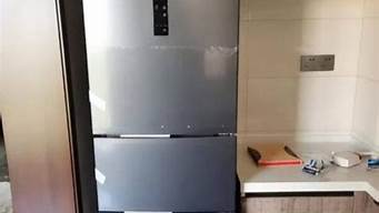海信冰箱质量怎样_海信冰箱质量怎样知乎