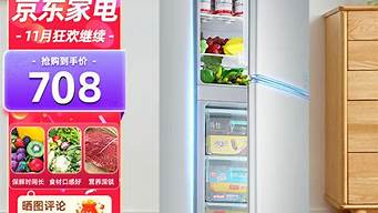 电冰箱价格低的出租房用_冰箱出租房用什么牌子的好