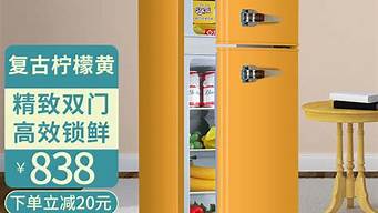 双开门家用冰箱_双开门家用冰箱多大容量的合适