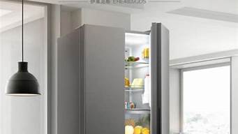 伊莱克斯冰箱173_伊莱克斯冰箱1780LPA