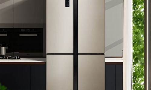 冰箱最新十大排名_冰箱最新十大排名品牌