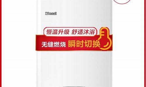 中国十大燃气热水器品牌排行榜_中国十大燃