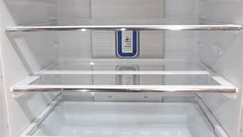 容声电冰箱里冷藏室冻冰怎么回事_容声冰箱冷藏室上冻怎么办