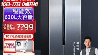 西门子双开门冰箱的价格_西门子双开门冰箱的价格是多少?
